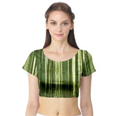 Bamboo Grove 2 Short Sleeve Crop Top