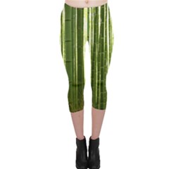 Bamboo Grove 2 Capri Leggings