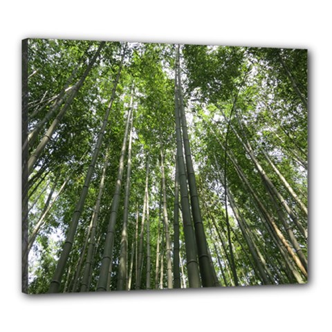 Bamboo Grove 1 Canvas 24  X 20 