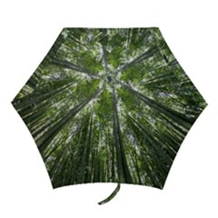 Bamboo Grove 1 Mini Folding Umbrellas