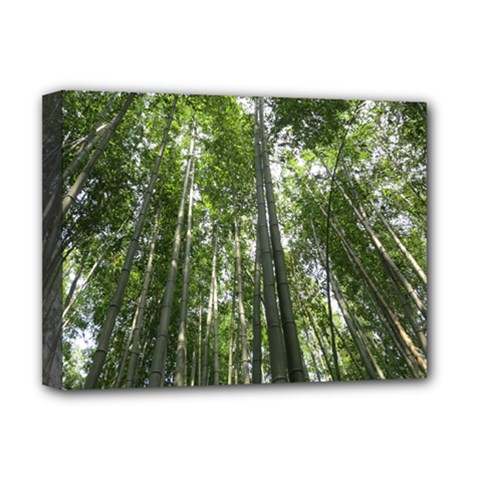 Bamboo Grove 1 Deluxe Canvas 16  X 12   by trendistuff