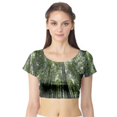 Bamboo Grove 1 Short Sleeve Crop Top by trendistuff