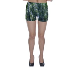 Bamboo Grove 1 Skinny Shorts