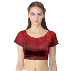 Shades Of Red Short Sleeve Crop Top