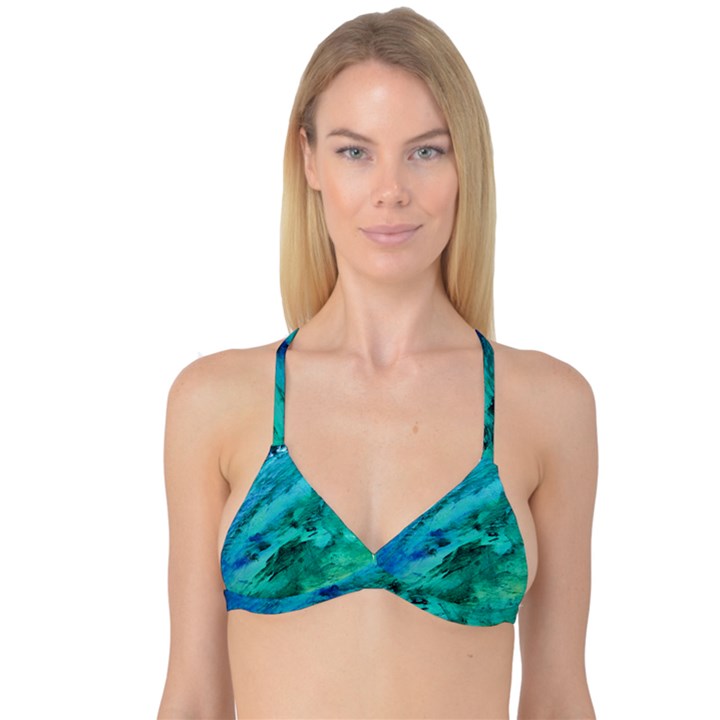 Reversible Tri Bikini Top