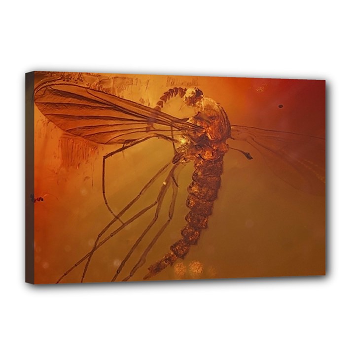 MOSQUITO IN AMBER Canvas 18  x 12 