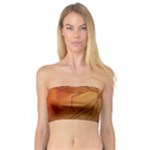 MOSQUITO IN AMBER Women s Bandeau Tops