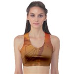 MOSQUITO IN AMBER Sports Bra