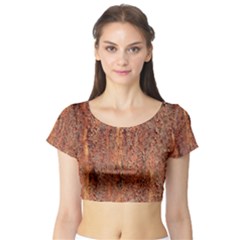 Flaky Rusting Metal Short Sleeve Crop Top by trendistuff