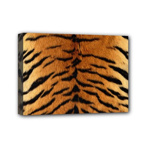 Tiger Fur Mini Canvas 7  X 5  by trendistuff