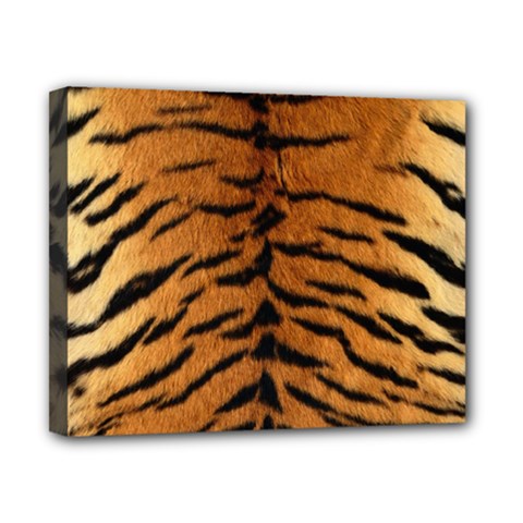 Tiger Fur Canvas 10  X 8  by trendistuff