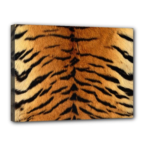 Tiger Fur Canvas 16  X 12  by trendistuff