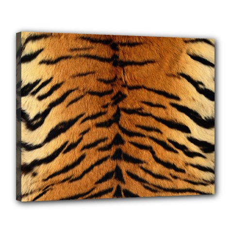 Tiger Fur Canvas 20  X 16  by trendistuff