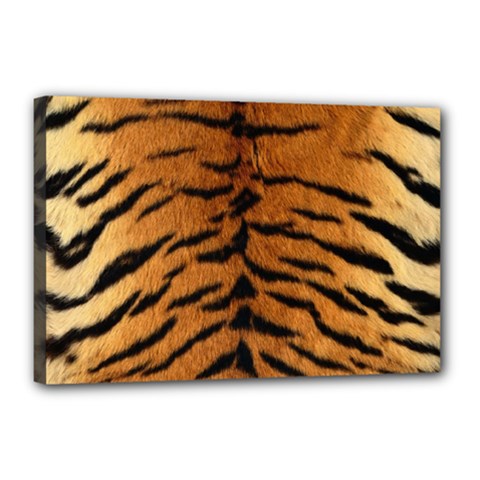 Tiger Fur Canvas 18  X 12  by trendistuff