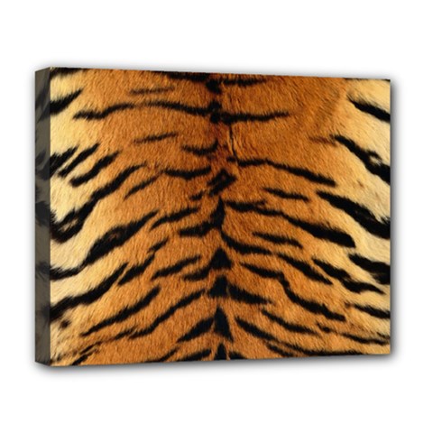 Tiger Fur Deluxe Canvas 20  X 16   by trendistuff