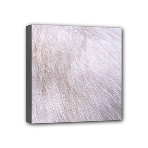 Rabbit Fur Mini Canvas 4  X 4  by trendistuff