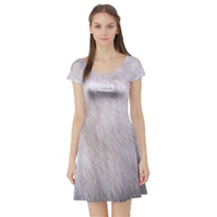 Rabbit Fur Short Sleeve Skater Dresses by trendistuff