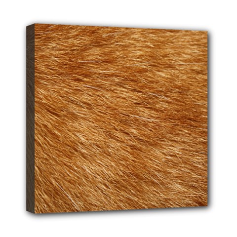 Light Brown Fur Mini Canvas 8  X 8  by trendistuff