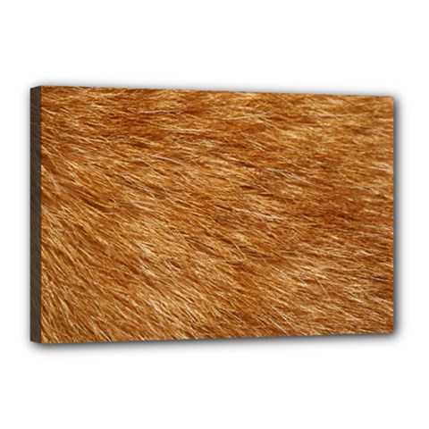 Light Brown Fur Canvas 18  X 12  by trendistuff