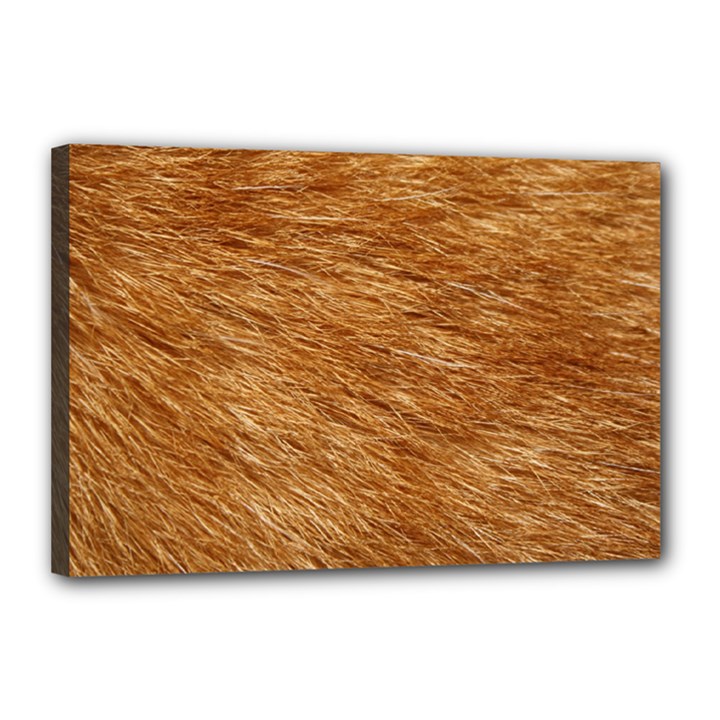 LIGHT BROWN FUR Canvas 18  x 12 