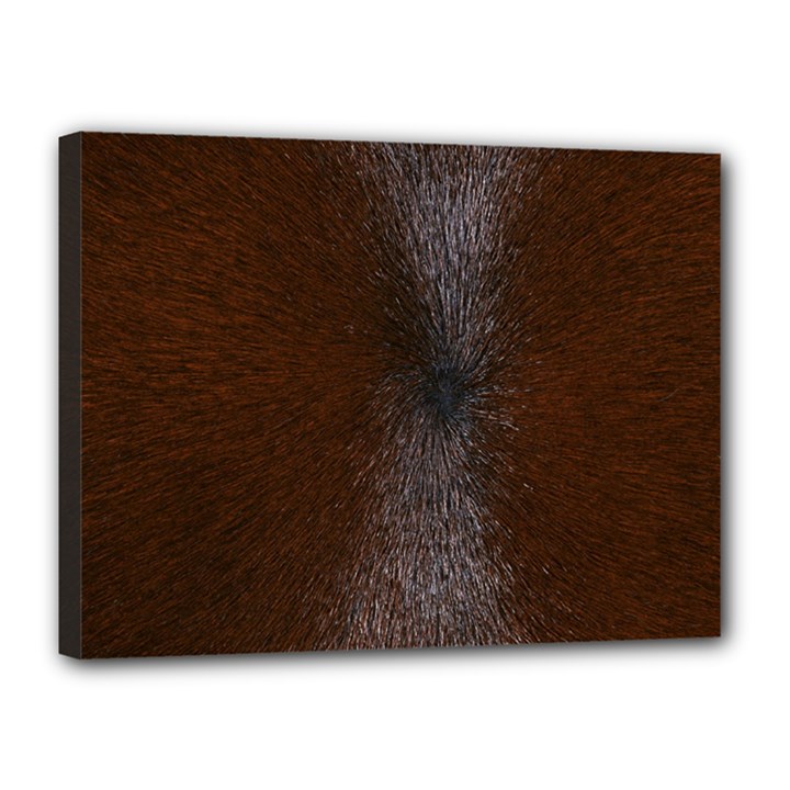 HORSE FUR Canvas 16  x 12 