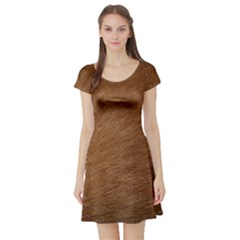 Dog Fur Short Sleeve Skater Dresses