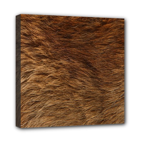 Bear Fur Mini Canvas 8  X 8  by trendistuff