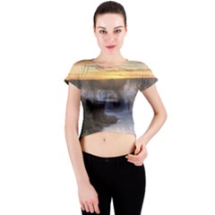 Iguazu Falls Crew Neck Crop Top by trendistuff