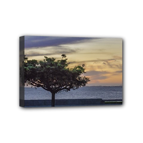 Sunset Scene At Boardwalk In Montevideo Uruguay Mini Canvas 6  X 4  by dflcprints