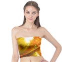 SOLAR FLARE 2 Women s Tube Tops View1