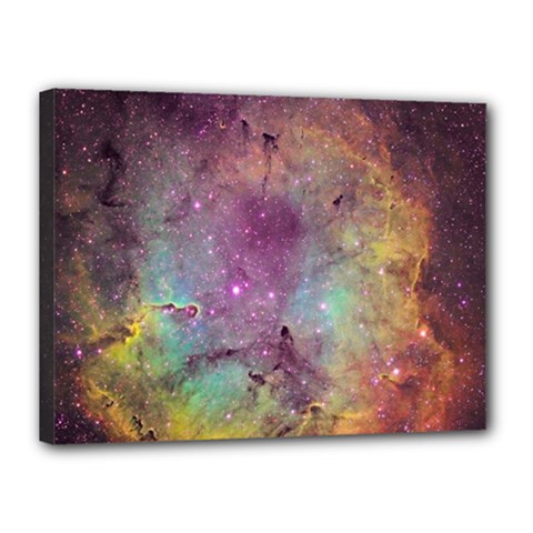 Ic 1396 Canvas 16  X 12  by trendistuff