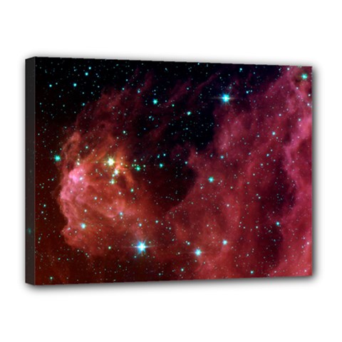 Barnard 30 Canvas 16  X 12  by trendistuff