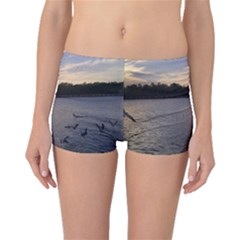 Intercoastal Seagulls 3 Boyleg Bikini Bottoms by Jamboo