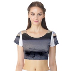 Intercoastal Seagulls 3 Short Sleeve Crop Top