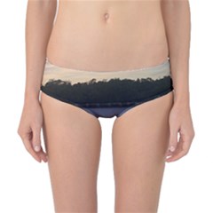 Intercoastal Seagulls 3 Classic Bikini Bottoms by Jamboo