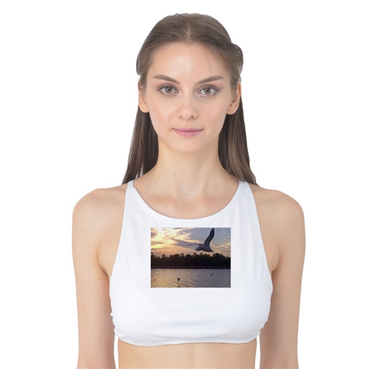 Intercoastal Seagulls 4 Tank Bikini Top