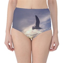 Seagull 1 High-waist Bikini Bottoms by Jamboo