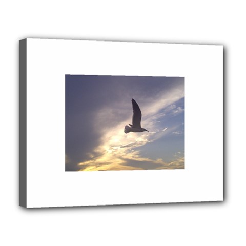 Fly Seagull Canvas 14  X 11  by Jamboo