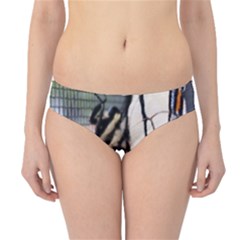 Butterfly 1 Hipster Bikini Bottoms