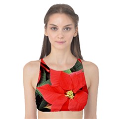 Poinsettia Tank Bikini Top by trendistuff