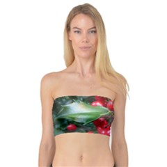 Holly 1 Women s Bandeau Tops