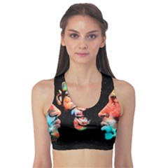 Image Sports Bra