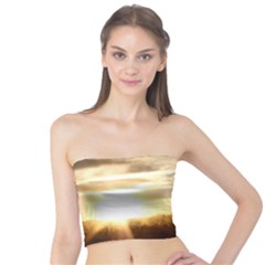 Setting Sun At Lake Women s Tube Tops