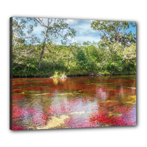 Cano Cristales 3 Canvas 24  X 20 