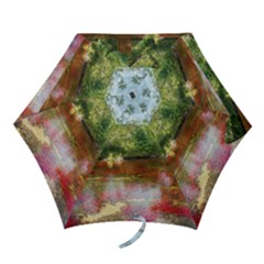 Cano Cristales 3 Mini Folding Umbrellas