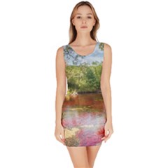 Cano Cristales 3 Bodycon Dresses by trendistuff