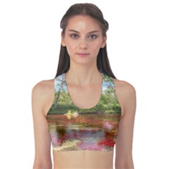 Cano Cristales 3 Sports Bra