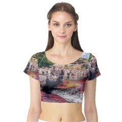 Cano Cristales 2 Short Sleeve Crop Top