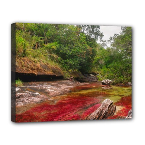 Cano Cristales 1 Canvas 14  X 11 