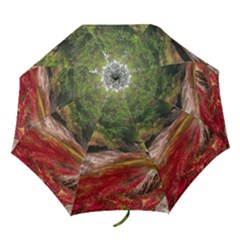 Cano Cristales 1 Folding Umbrellas